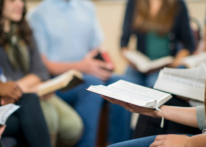 Diseño sin título - 2025-04-16T162107.432